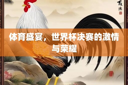 体育盛宴，世界杯决赛的激情与荣耀