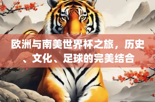 欧洲与南美世界杯之旅，历史、文化、足球的完美结合