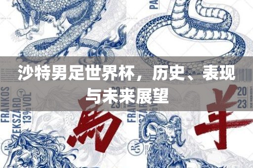 沙特男足世界杯，历史、表现与未来展望