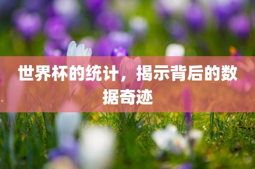 世界杯的统计，揭示背后的数据奇迹
