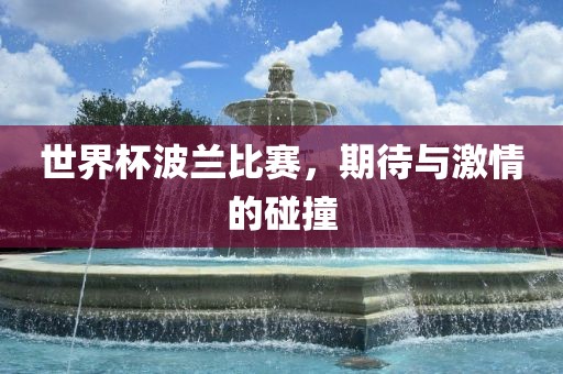 世界杯波兰比赛，期待与激情的碰撞