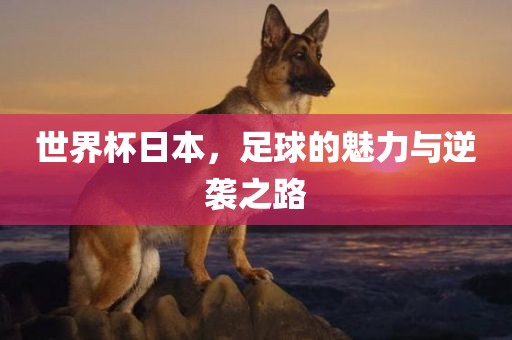 世界杯日本，足球的魅力与逆袭之路