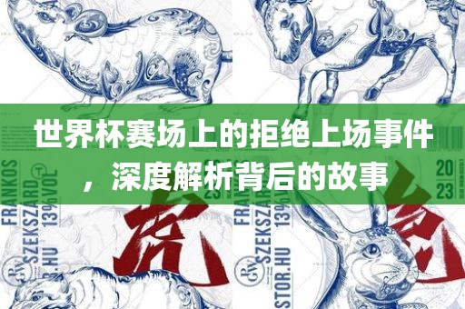 世界杯赛场上的拒绝上场事件，深度解析背后的故事