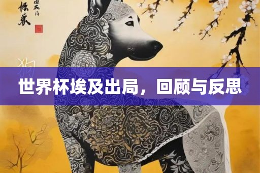 世界杯埃及出局，回顾与反思