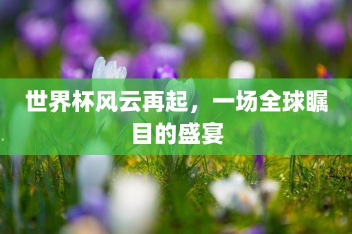 世界杯风云再起，一场全球瞩目的盛宴