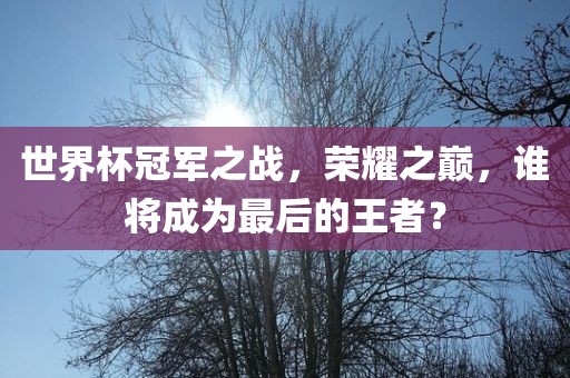 世界杯冠军之战，荣耀之巅，谁将成为最后的王者？