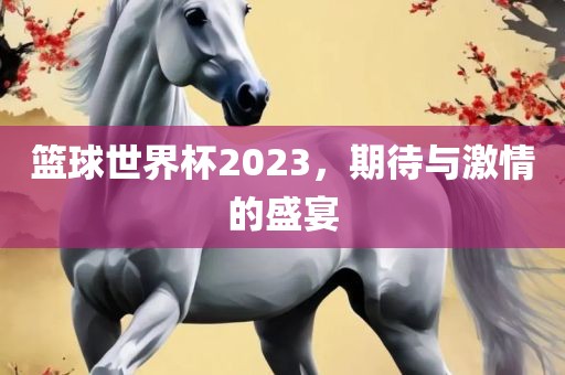 篮球世界杯2023，期待与激情的盛宴