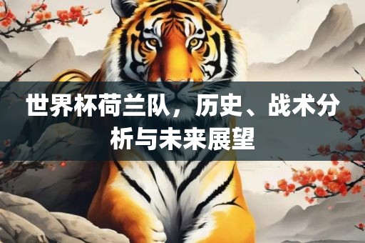 世界杯荷兰队，历史、战术分析与未来展望