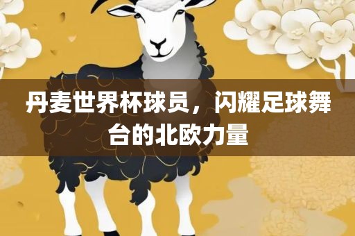 丹麦世界杯球员，闪耀足球舞台的北欧力量