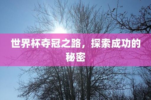 世界杯夺冠之路，探索成功的秘密