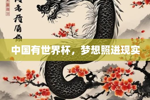 中国有世界杯，梦想照进现实