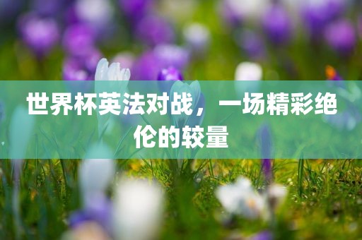 世界杯英法对战，一场精彩绝伦的较量