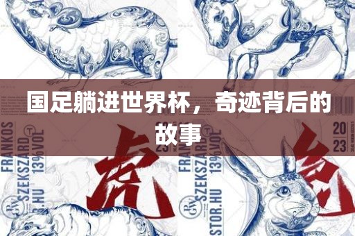 国足躺进世界杯，奇迹背后的故事