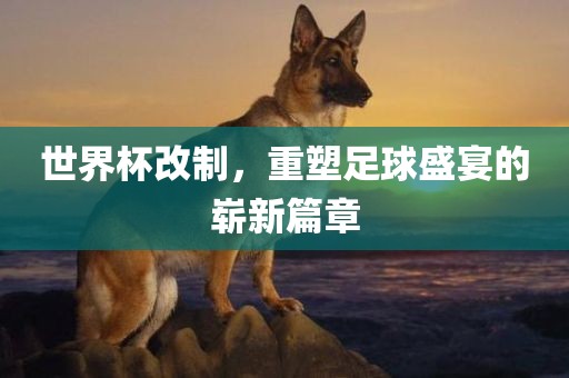 世界杯改制