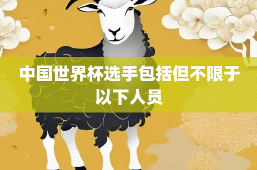 中国世界杯选手包括但不限于以下人员