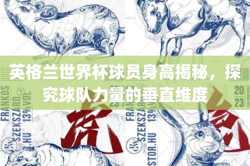 英格兰世界杯球员身高揭秘，探究球队力量的垂直维度