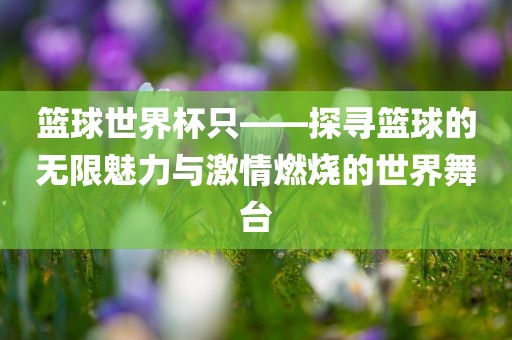 篮球世界杯只——探寻篮球的无限魅力与激情燃烧的世界舞台