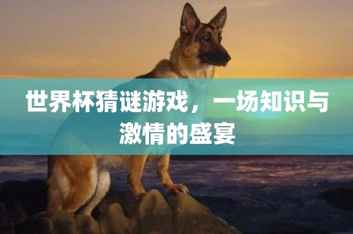 世界杯猜谜游戏，一场知识与激情的盛宴
