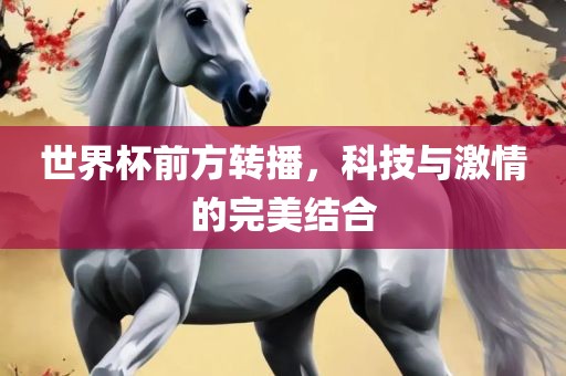 世界杯前方转播，科技与激情的完美结合