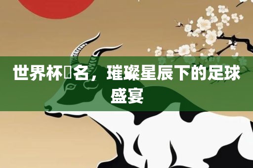世界杯琲名，璀璨星辰下的足球盛宴