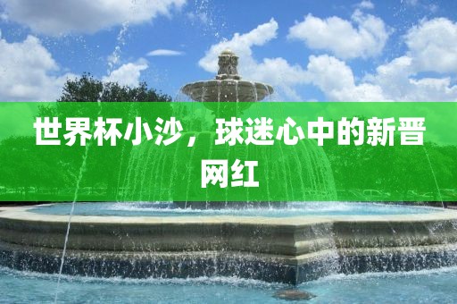 世界杯小沙，球迷心中的新晋网红