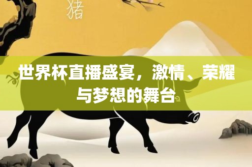 世界杯直播盛宴，激情、荣耀与梦想的舞台