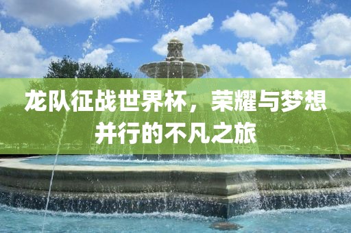 龙队征战世界杯，荣耀与梦想并行的不凡之旅