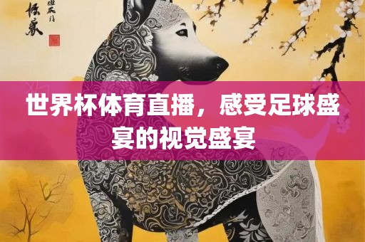 世界杯体育直播，感受足球盛宴的视觉盛宴