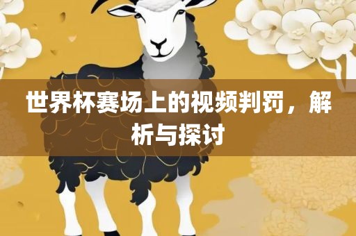 世界杯赛场上的视频判罚，解析与探讨