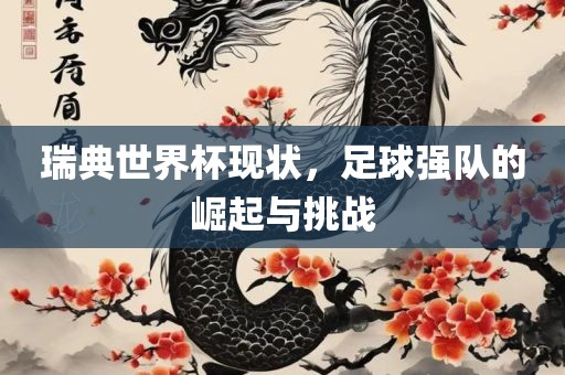瑞典世界杯现状，足球强队的崛起与挑战