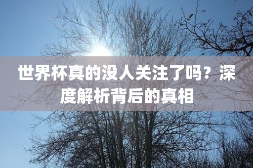 世界杯真的没人关注了吗？深度解析背后的真相