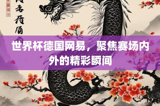世界杯德国网易，聚焦赛场内外的精彩瞬间