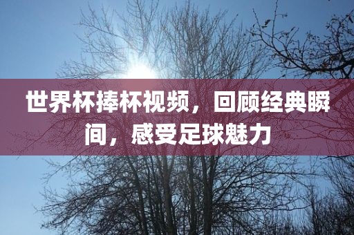 世界杯捧杯视频，回顾经典瞬间，感受足球魅力