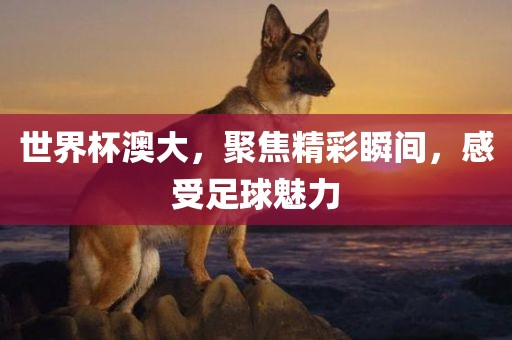 世界杯澳大，聚焦精彩瞬间，感受足球魅力