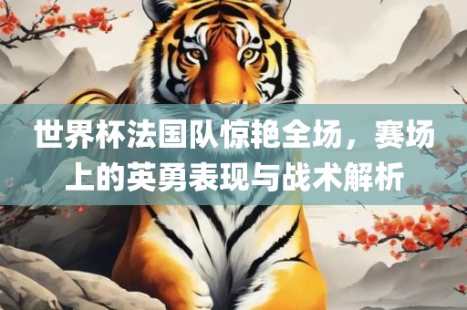 世界杯法国队惊艳全场，赛场上的英勇表现与战术解析