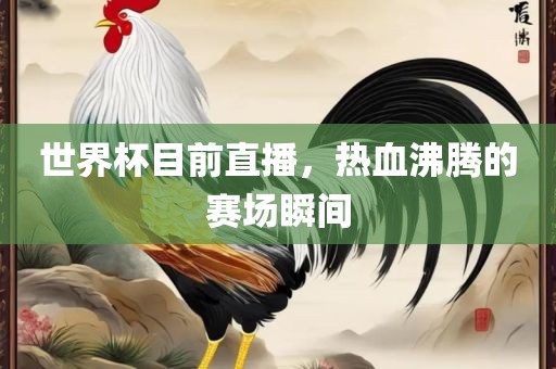 世界杯目前直播，热血沸腾的赛场瞬间