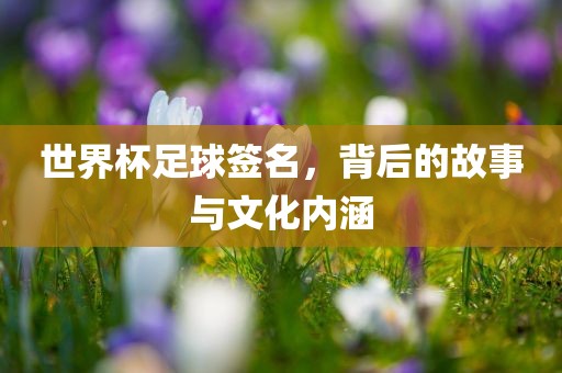 世界杯足球签名，背后的故事与文化内涵