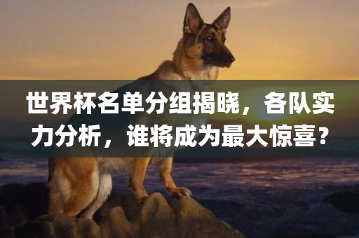 世界杯名单分组揭晓，各队实力分析，谁将成为最大惊喜？