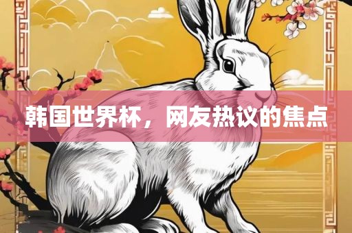 韩国世界杯，网友热议的焦点