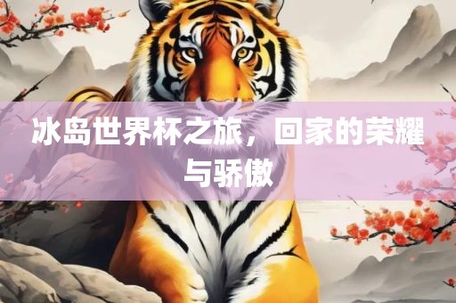 冰岛世界杯之旅，回家的荣耀与骄傲