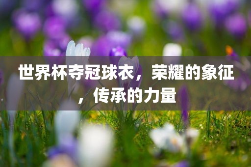 世界杯夺冠球衣，荣耀的象征，传承的力量