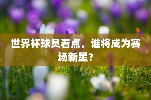 世界杯球员看点，谁将成为赛场新星？