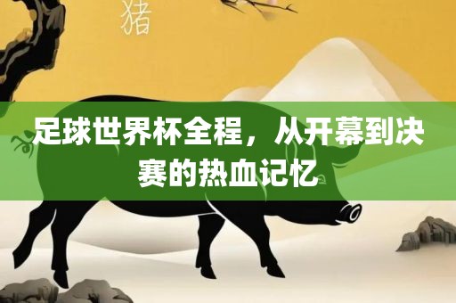 足球世界杯全程，从开幕到决赛的热血记忆