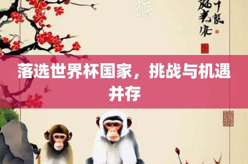 落选世界杯国家，挑战与机遇并存