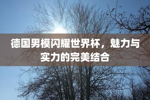 德国男模闪耀世界杯，魅力与实力的完美结合