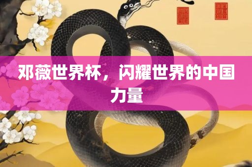 邓薇世界杯，闪耀世界的中国力量
