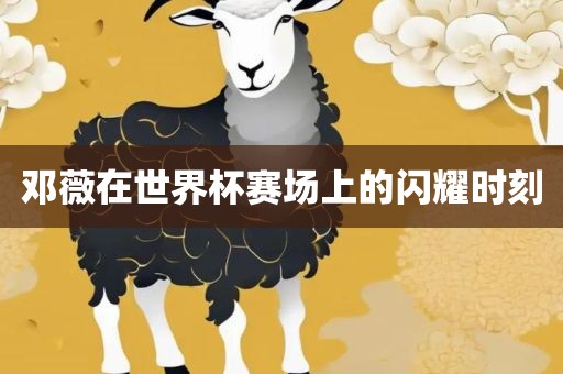 邓薇在世界杯赛场上的闪耀时刻