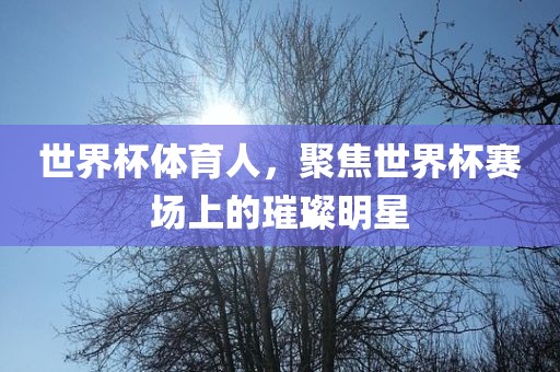 世界杯体育人，聚焦世界杯赛场上的璀璨明星