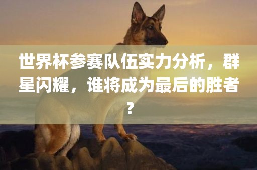 世界杯参赛队伍实力分析，群星闪耀，谁将成为最后的胜者？