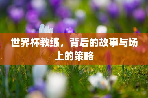 世界杯教练，背后的故事与场上的策略